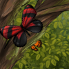 Red butterflies